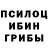 Псилоцибиновые грибы ЛСД Sonoer